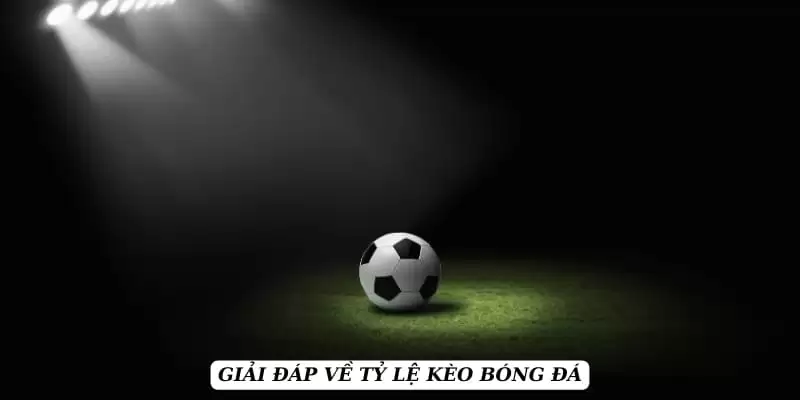 ty-le-keo-khai-niem