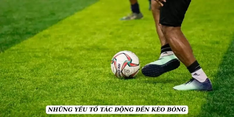 ty-le-keo-yeu-to-tac-dong-den-keo-bong